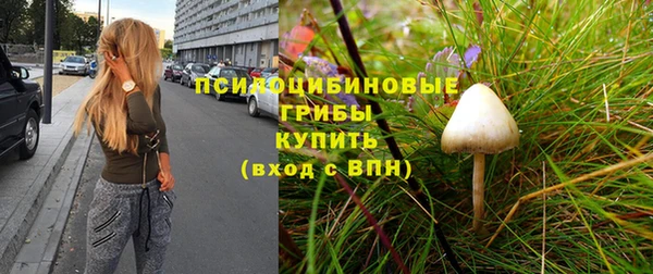 mix Арсеньев