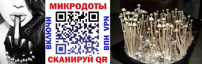 Купить закладки  Щигры  Псилоцибиновые грибы прущие грибы 